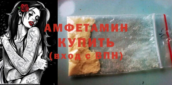 сатива Бородино