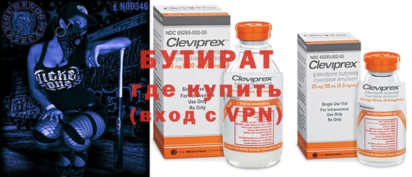 индика Бронницы