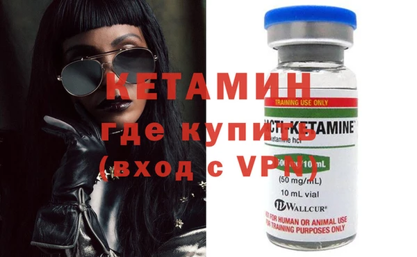 сатива Бородино