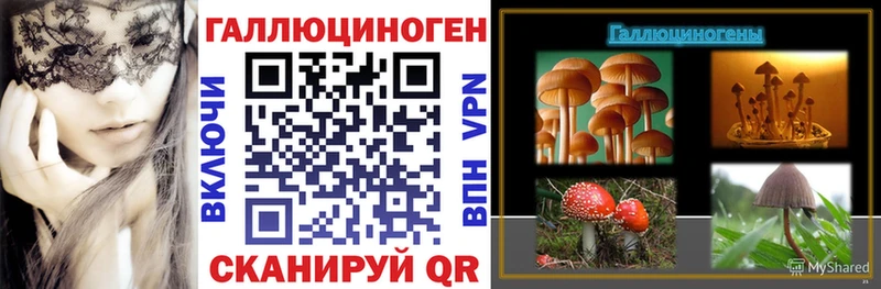 Псилоцибиновые грибы прущие грибы  ОМГ ОМГ зеркало  Полтавская  где можно купить наркотик 